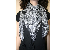 ������ SL-17.jpg