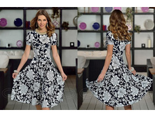 ������ 538 �-����� ���� 1169 �..jpg