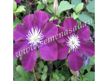 �������� ��������������� ��������� ���� � ������.jpg