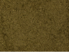 AR*T DESI*GN 25*0.jpg