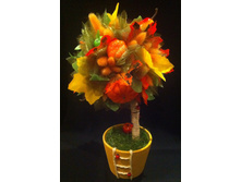 �������� ������� �����