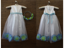 ������ ����� ��������