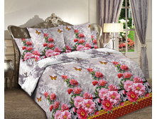 ������ ����.