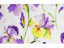 ������� ����������� ����� � ������� Mo*nti, 110, �������/��������, ������ 280 ��, 1845 ��� ����