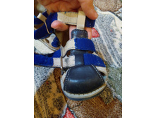 IMG 20151129 232106.jpg