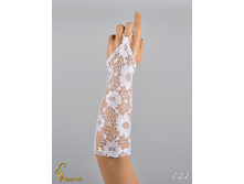 144 an42019-00016 (2).jpg