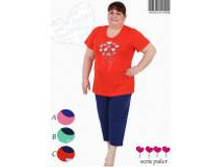 902,00		���_����� ���� 559,50 ���