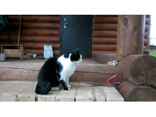 ������ � ����������