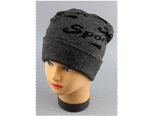 Image575.gif