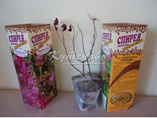 ������  �������������  140�  ����������