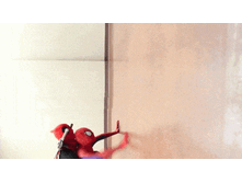 ���������� � ����������