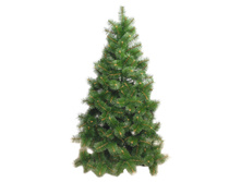 ��� "���� "�����"" �������������, ��� ����