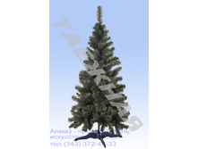 ��� "�������"; ��̣��� ���-������ , ������� ������ 100 ��