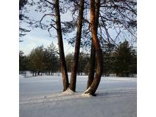 3-IMG 20151129 132650.jpg