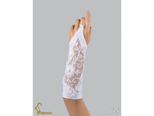 138 an4201h-00076.jpg