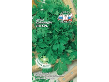 Kinza-yantar agp .jpg