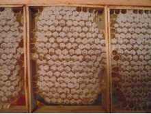 ������� � ���� ������.JPG