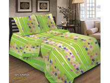 ��� ���� - 035.jpg