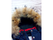 �������� ���