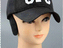 Image038.gif