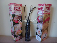 ���� �����-��������� � �������       180�