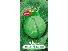 ������� ����� ������������ 1� ��� ��� �.� 4,00 ���.