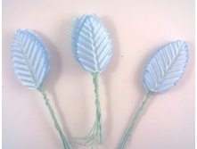 `������, ����� 10 ��, 10 ��
