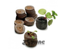 ��������� �������� 50�� ������-7�00036538 4,07.jpg