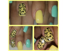 IMG 20151014 172955.jpg