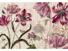 8NW-510 Komar-Merian, �������� �� ����� 368-254cm 2513���.jpg