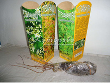 ����������� ��������� �������	15-20�� 175.00 ���