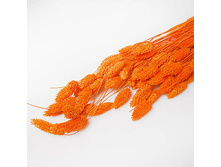 ���������. ������� 70 ��. ��������� 100318 180�.jpg