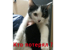 ��� �������� 6 �������