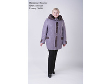 ���� 2900�.JPG