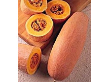 ����� ������� ����� ������ 9,60 ���..[���.��000009642]