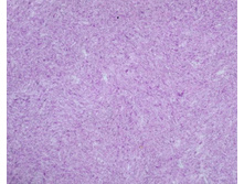 A*RT DES*IGN 2*71.jpg