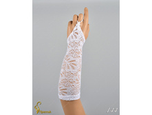 144 an42019-00016 (3).jpg