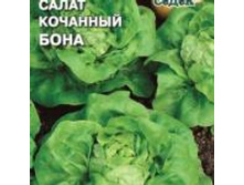 Salat-bona n .jpg
