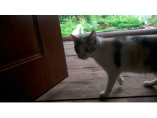 ��������� ������������ ������