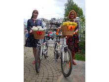 55575a34d9393 dscn3400.JPG