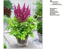 ������� �����*