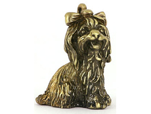 ���� 250���