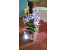 IMG 20151020 103511.jpg