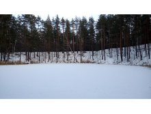 5-IMG 20151129 150008.jpg