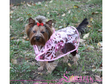 NEW!!! Rain001-3 ������� - �������� 'NH'