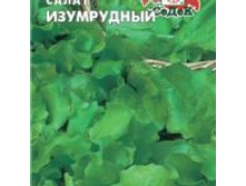 Salat-izumrudnyy a .jpg