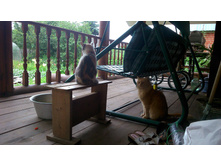 ... � ������� ���������� � ����...