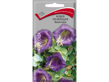 ����� �������� ���������� 5�� ��� ��� �.� 12,00 ���. [���.��000000771]