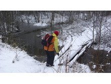 ����� ����