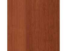 592 ����.jpg